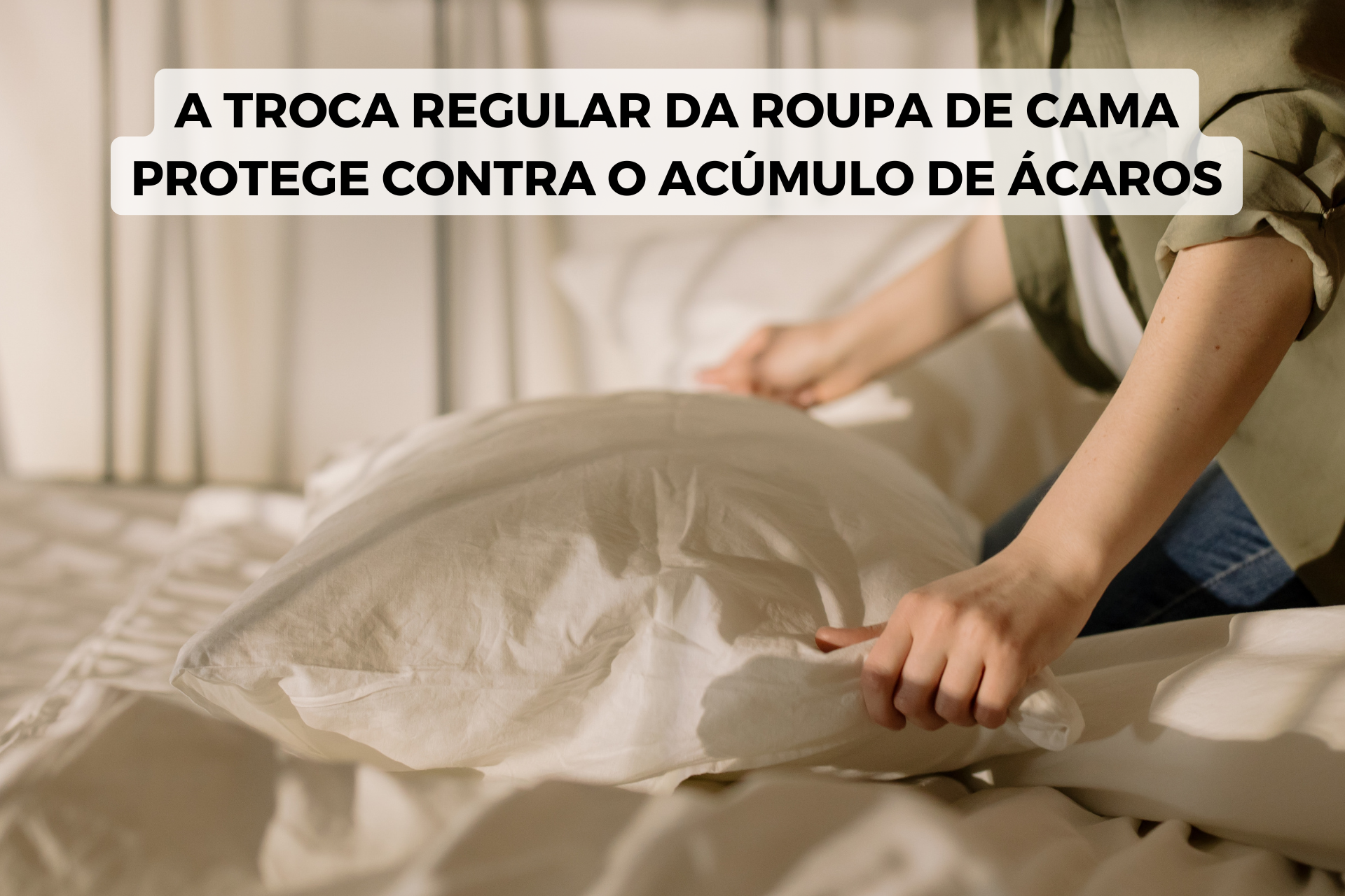 roupa de cama troca regular